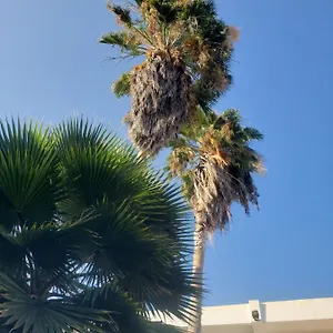 3* Alojamento de Acomodação e Pequeno-almoço Sea Shell Palms,