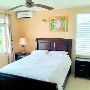 Apartment 2 Bedroom Apartment/flat, Ocho Rios